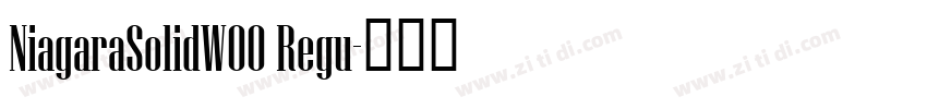 NiagaraSolidW00 Regu字体转换